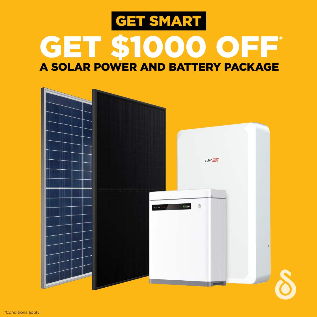$1000 off a battery and solar power combo