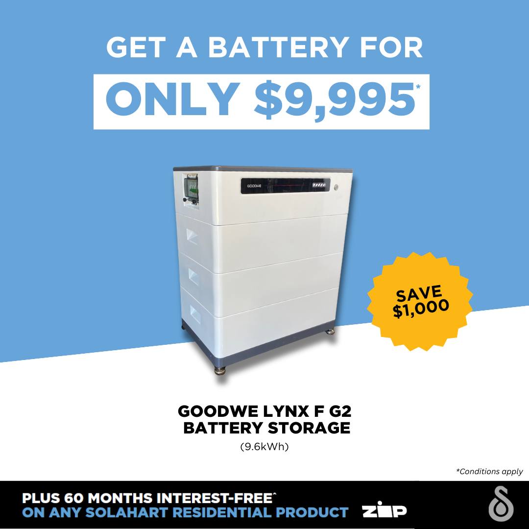 GoodWe Battery Exclusive Offer